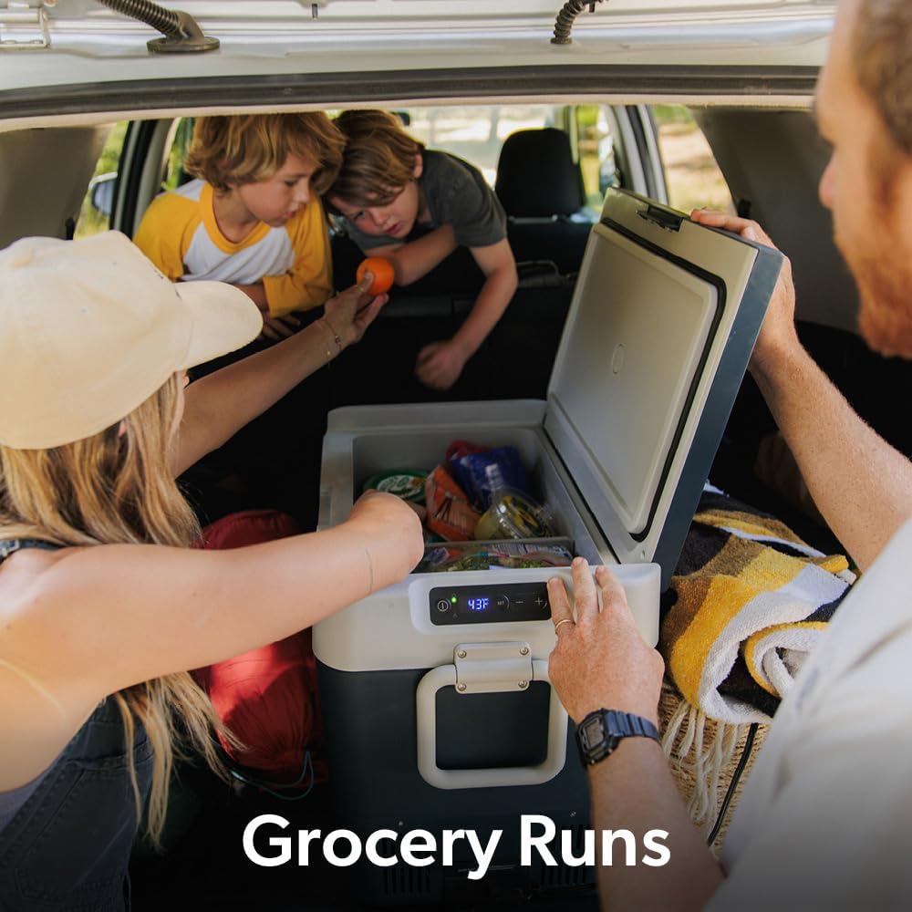 IGLOO Electric Cooler ICF 80DZ