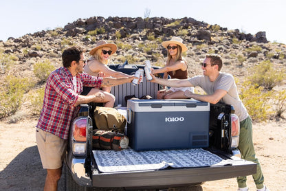 IGLOO Electric Cooler ICF 80DZ